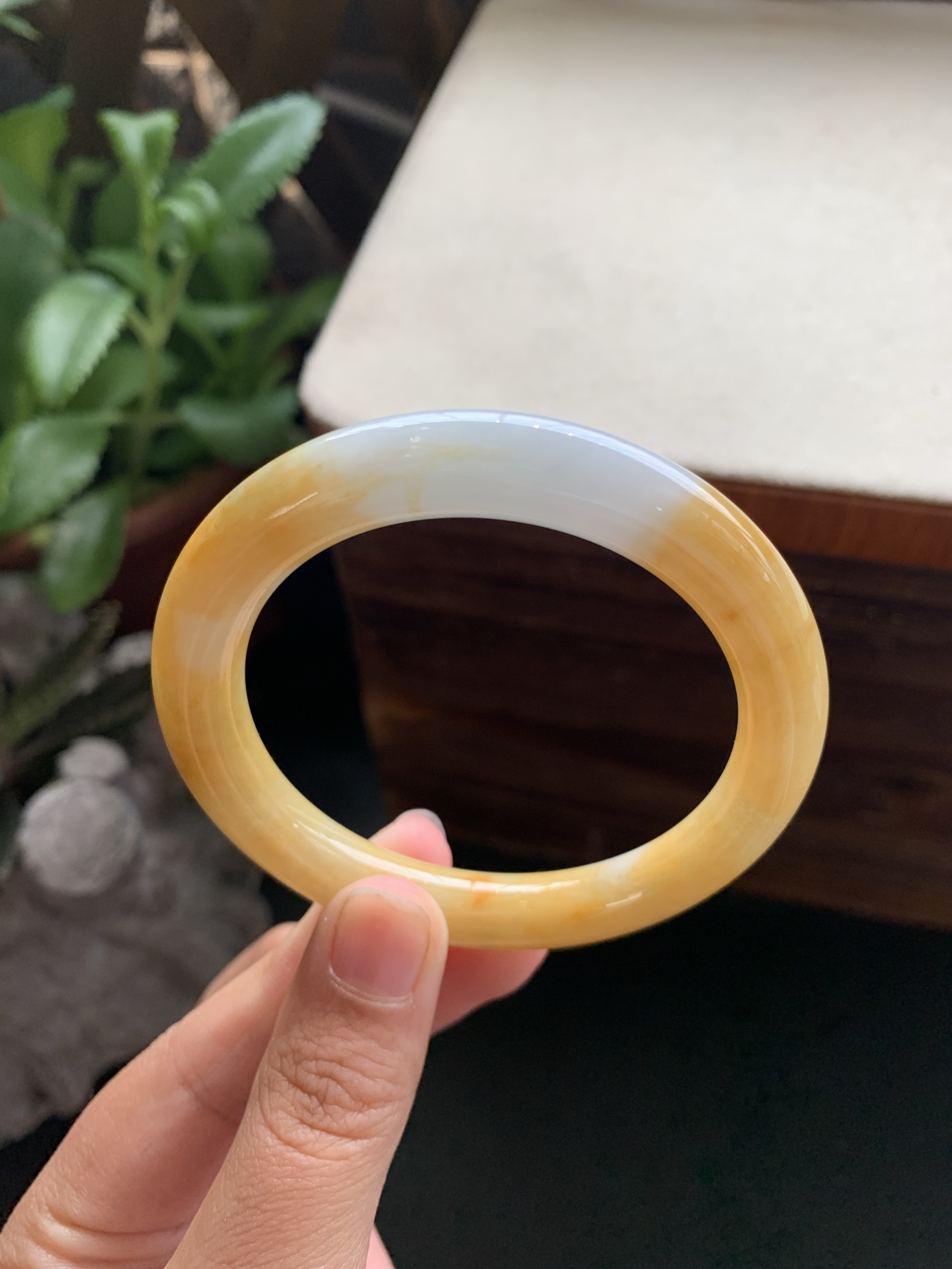73，冰润细腻黄翡圆条手镯，圈口52.7-9.4-9.4，冰润细腻，种老肉细，水头好，颜色美，上手好看，清爽干净，特色好看，无裂，24小时鉴赏期，可退换