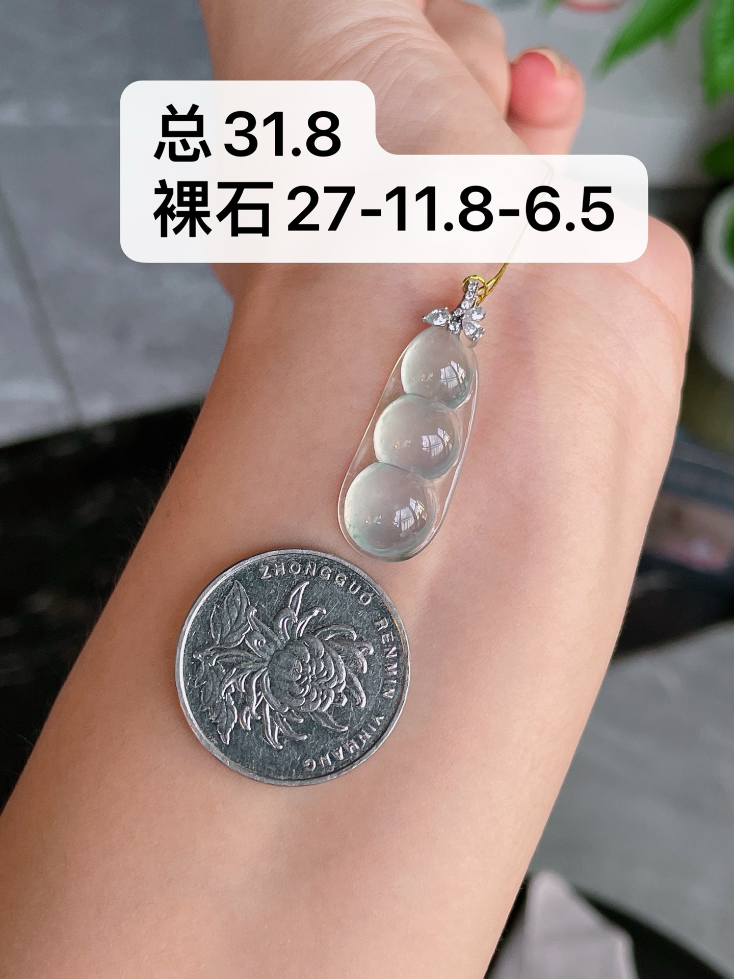 18k金扣冰种玻起光福豆, S48，27-11.8-6.5